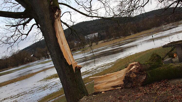 Der Ast brach durch den Sturm vom Stamm ab. Foto: Lisa Kieslinger