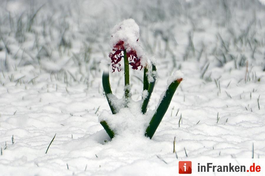 Franken: Ostermontag versinkt im Schnee