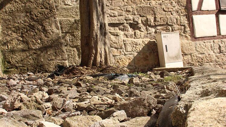 Solche geschotterten Grünanlagen sollte es nicht mehr geben, ist der Wunsch von drei Münnerstädterinnen, die einen Offenen Brief an den Stadtrat geschrieben haben. Foto: Heike Beudert