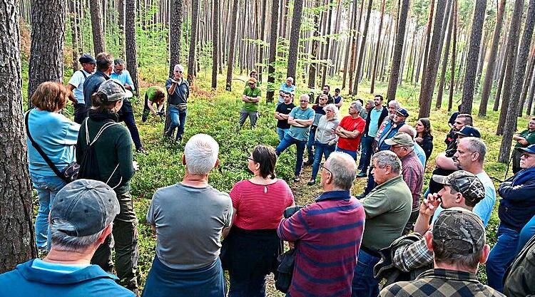 Wegen Klimawandel: So pflanzt R&ouml;ttenbach seinen Zukunftswald