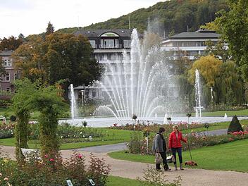 Der neue Springbrunnen im Rosengarten wird einen Video-Beamer erhalten. Foto: Thomas Mäuser