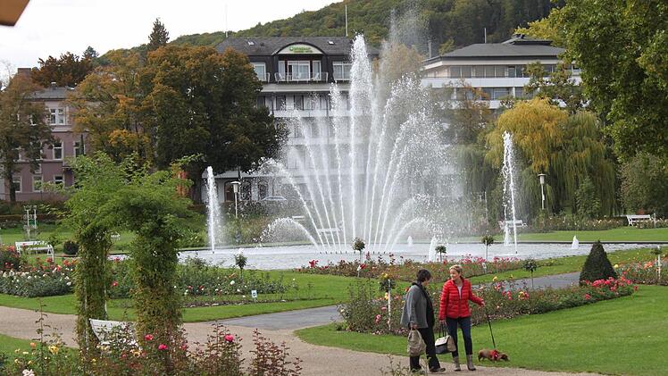 Der neue Springbrunnen im Rosengarten wird einen Video-Beamer erhalten. Foto: Thomas Mäuser
