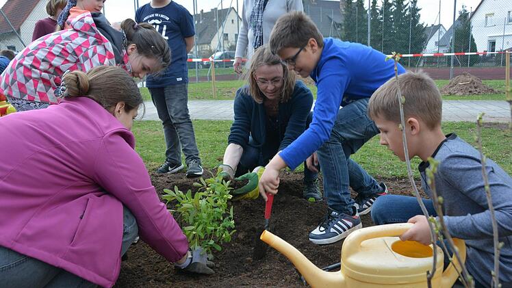 Beerenbeet: Pflanztag mit dem Gartenbauverein Melkendorf Foto: Dagmar Besand