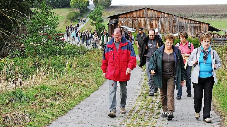 Durch den Steigerwald führt die Wanderung. Unser Bild entstand bei einer früheren Tour der "Fünf-Sterne"-Gemeinden.  Foto: Sabine Weinbeer/Archiv
