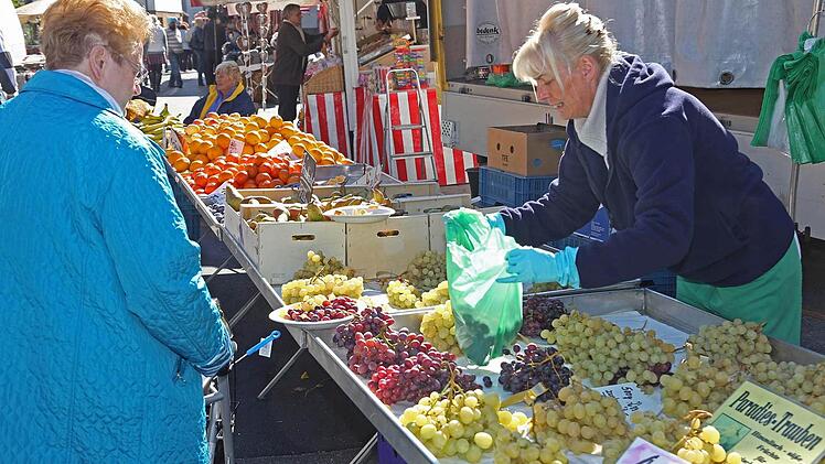 Parallel zum verkaufsoffenen Feiertag fand der Herbstmarkt in Michelau statt.Fotos: Klaus Gagel