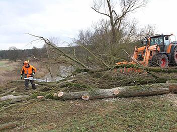 Mitarbeiter des Wasserwirtschaftsamt führten die Gehölzpflegemaßnahmen durch. Foto: Mathias Erlwein