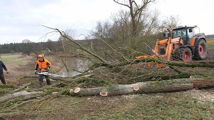 Mitarbeiter des Wasserwirtschaftsamt führten die Gehölzpflegemaßnahmen durch. Foto: Mathias Erlwein