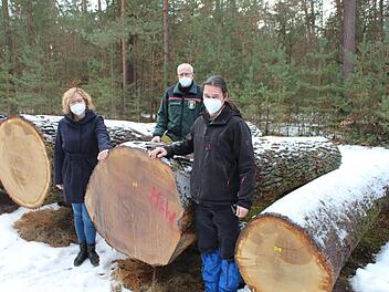 Bürgermeisterin Anja Gebhardt (Gemeinde Kirchehrenbach), Revierleiter Jörg Dettloff (AELF Bamberg) und Matthias Kraft (WBV Fränkische Schweiz,  r.)  begutachten den teuersten Stamm der Laubwertholzsubmission Pretzfeld. PR