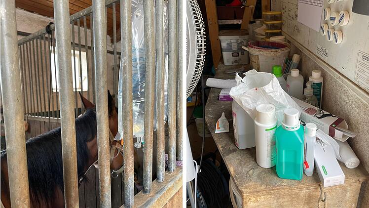 Ebern: Lage auf fränkischem Pferdehof verschärft sich - weitere Todesfälle