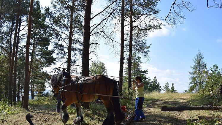 Die SOS-Kinderdorfgruppe aus Hohenroth bei Rieneck im Spessart war in der Rhön zu einem Arbeitseinsatz zu Gast und leistete wieder einen Beitrag zur nachhaltigen Entwicklung. Foto: Marion Eckert