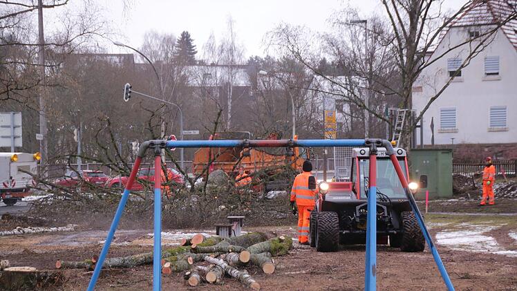 Mitarbeiter des Staatlichen Bauamtes fällen Bäume auf dem Bolzplatz an der Garitzer Kreuzung. Die Arbeiten sind Vorbereitungen für den Garitzer Kreisel. Foto: Benedikt Borst