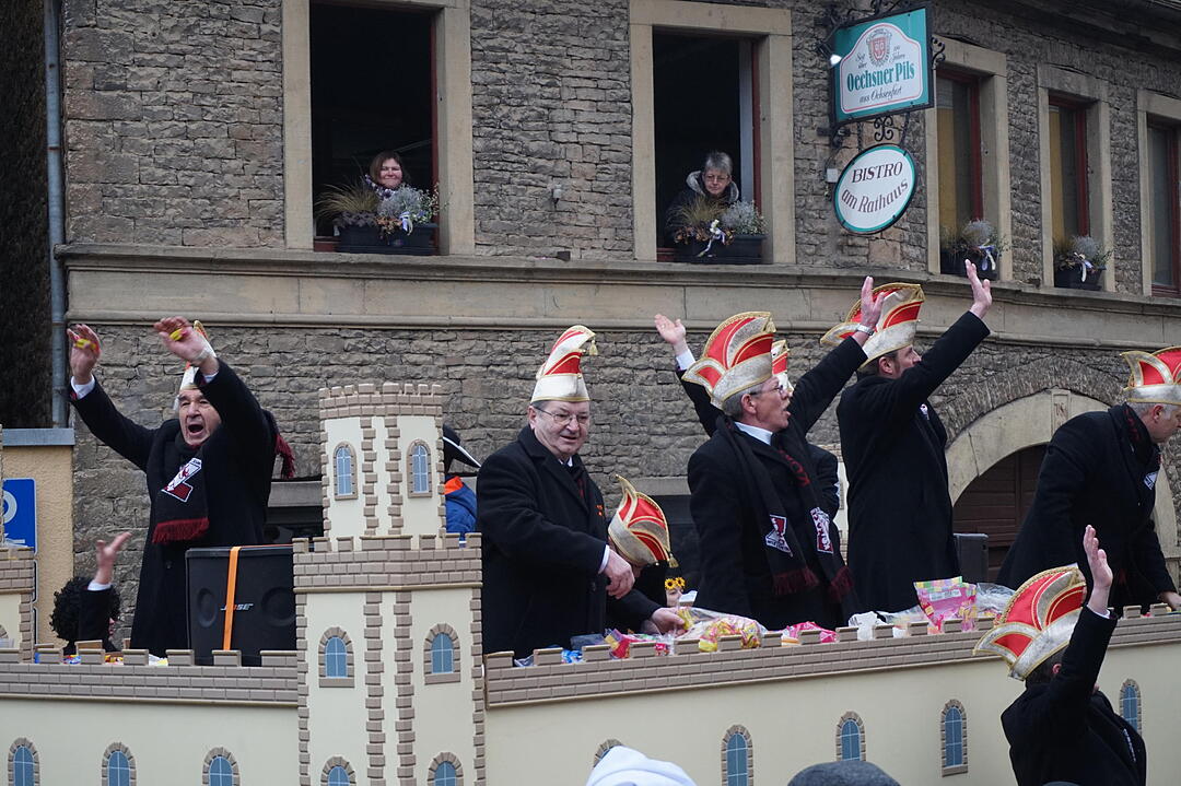 Landkreisfaschingszug 2015