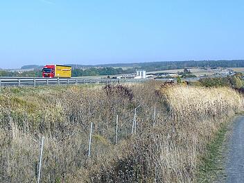 Direkt neben  der A73 befinden sich intensiv landwirtschaftlich genutzte Flächen, die beim Bau einer weiteren Ausfahrt gebraucht würden.Foto: Berthold Köhler