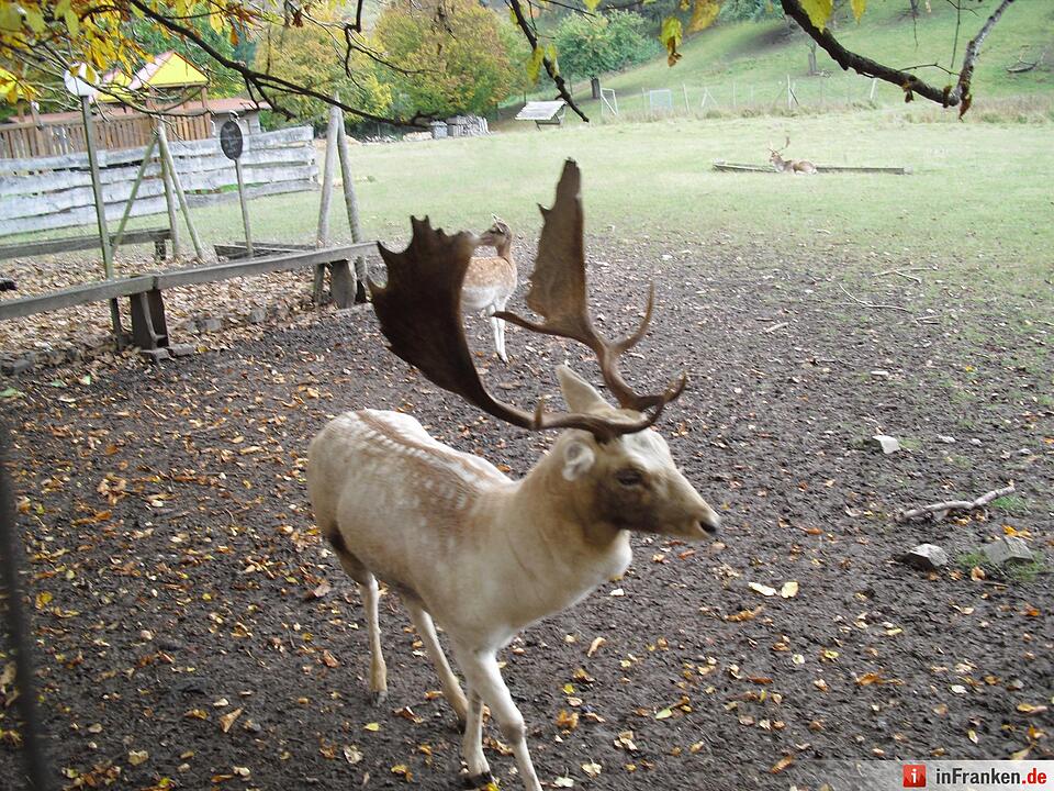 ABO Plus Bus-Wander-Tour Handthal_29.10.2016