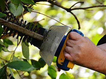 Geh&ouml;lzschnitt, Heckenschere, Hecke, Baum, Strauch, Busch, Schneiden