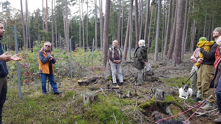 Revierleiter Uffelmann erläutert die verschiedenen Arten, wie Wald für die Klimaerwärmung fit gemacht werden soll.  Fotos: Elisabeth Assmann