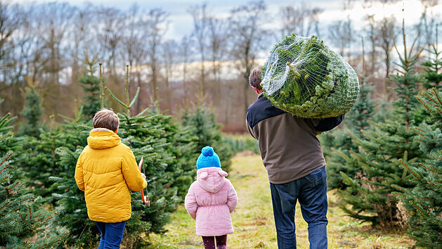 Weihnachtsbaum kaufen, Christbaum kaufen