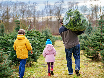 Weihnachtsbaum kaufen, Christbaum kaufen