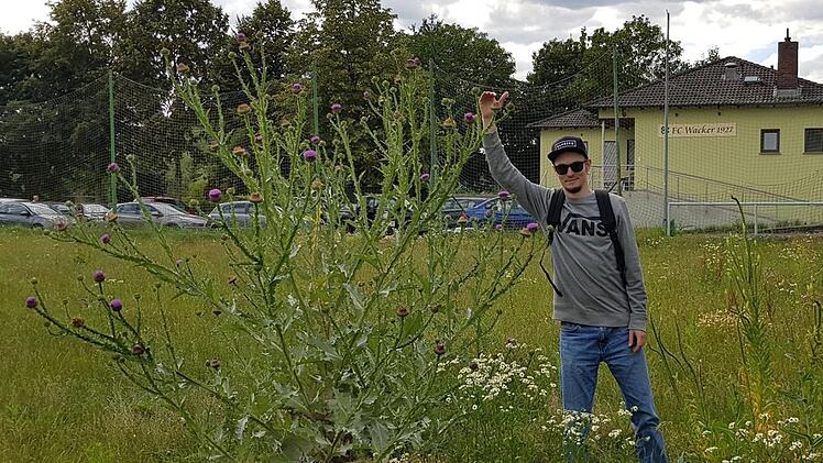 Foto: Hopfendoldis