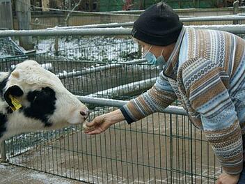 Das Vertrauen der Tiere nach schlechter Haltung oder Misshandlung wieder zu gewinnen, ist oftmals schwer. Doch Waltraud Albert gelingt es. Fotos: Corinna Tübel
