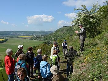 Friedrich Mährlein erklärt am Hammelberg die Zusammenhänge von Fauna und Flora am Extremstandort Hammelberg. Foto: Elisabeth Assmann