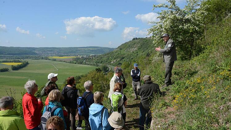 Friedrich Mährlein erklärt am Hammelberg die Zusammenhänge von Fauna und Flora am Extremstandort Hammelberg. Foto: Elisabeth Assmann