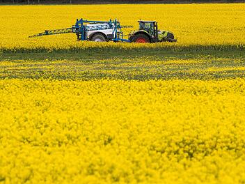 Gewohntes Bild: Ein Landwirt ist mit seiner Pflanzspritze in einem Rapsfeld unterwegs.