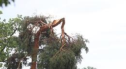 Vorschaubild