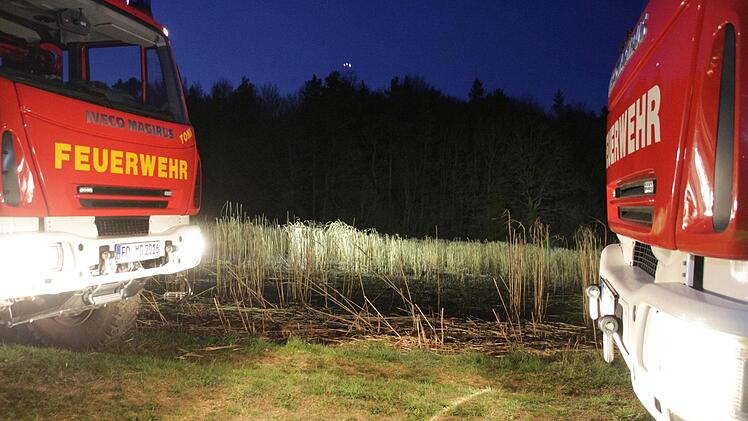 Foto: News5/Merzbach