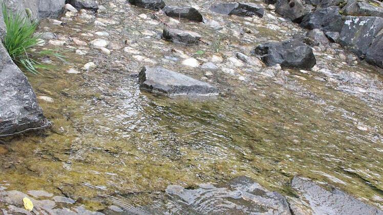Über diesen künstlichen Bachlauf fließt das Wasser ins Regenerationsbecken.  Foto: Friedwald Schedel