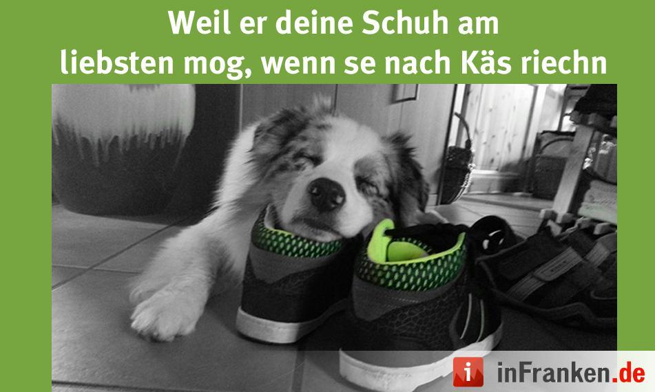 Foto: Lisa Wolfsteiner
