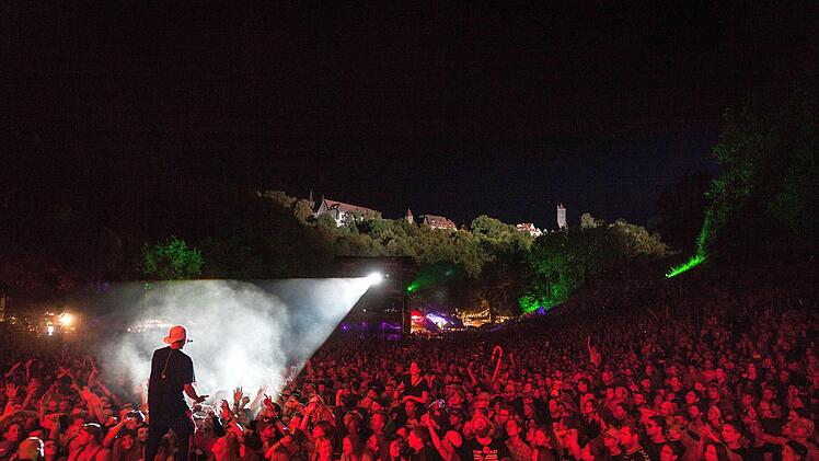 Der Samstag auf dem Taubertal-Festival war insgesamt ruhig - nur ein Nackter st&ouml;rte die Idylle.Foto: Sebastian Goe&szlig;/Taubertal-Festival.de