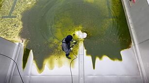 Vorbereitung auf die Freibadsaison