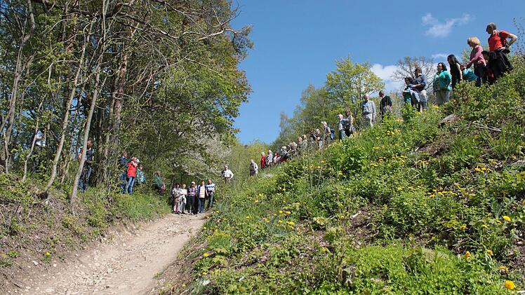 Vor kurzem hatte Bernhard Christoph die Teilnehmer einer Staffelberg-Exkursion an historischer Stelle den Verlauf des einstigen Zangentors nachbilden lassen. Foto: Markus Häggberg
