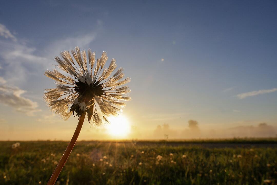 Sp&auml;tsommer in Baden-W&uuml;rttemberg