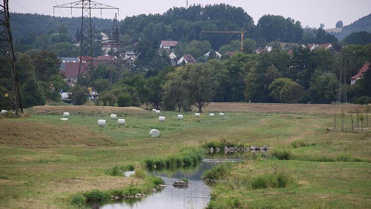 Mäharbeiten in der neugestalteten Flutmulde sorgten für Empörung bei manchen Radfahrern und Spaziergängern. Kann man die Wildpflanzen nicht einfach wachsen lassen, fragen sie sic. Wir haben beim Wasserwirtschaftsamt nachgefragt. Foto: Katrin Geyer