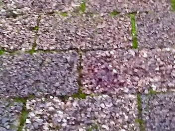 Diese Blutspuren sicherte die Polizei am Tatort. Foto: Steffen Trabert