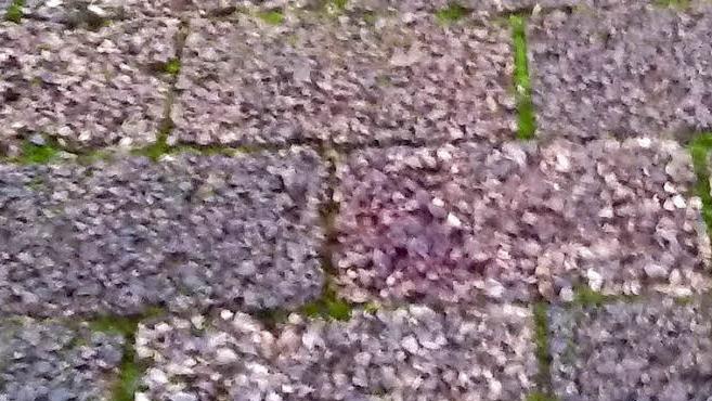 Diese Blutspuren sicherte die Polizei am Tatort. Foto: Steffen Trabert