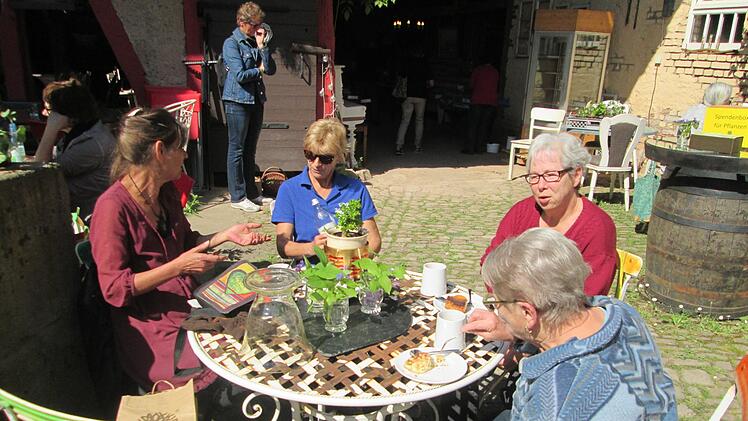 Im Hof des Rineckerhauses lässt sich bei Kaffee und Kuchen gut über Pflanzen austauschen. Winfried Ehling