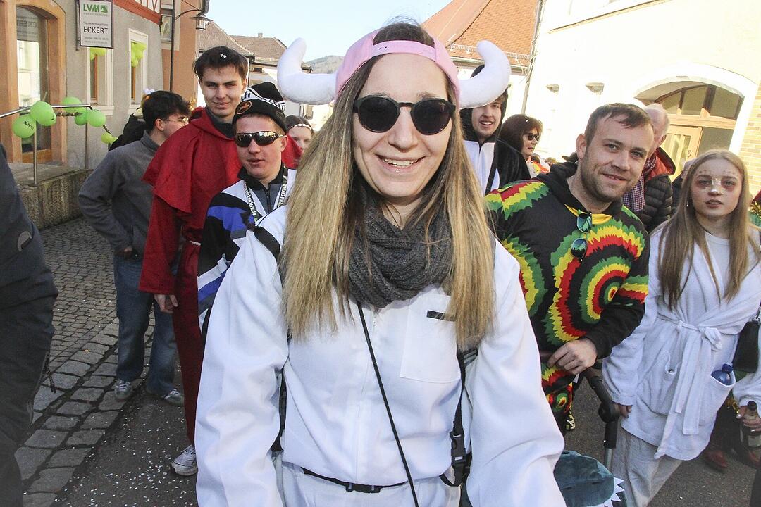 Fasching 2025 in Stadtsteinach!