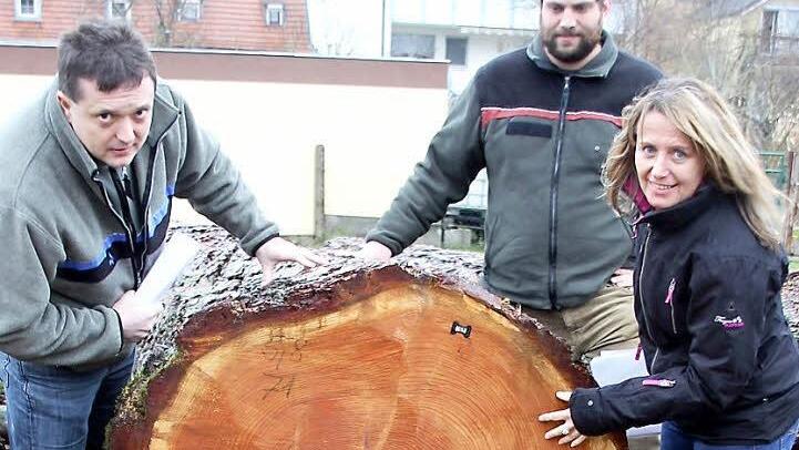 477 Euro je Festmeter gab's für diese stattliche, rund 150 Jahre alte Lärche aus dem Gemeindewald von Wartmannsroth. Noch einer der Spitzenbäume aus dem Kreis Bad Kissingen. Die Qualität begutachten hier die Vertreter der Forstbetrieblichen Gemeinschaft Haßberge, Jürgen Schafhauser, Förster Christian Mehlhorn und Geschäftsführerin Birgitt Ulrich. Foto: Ralf Kestel