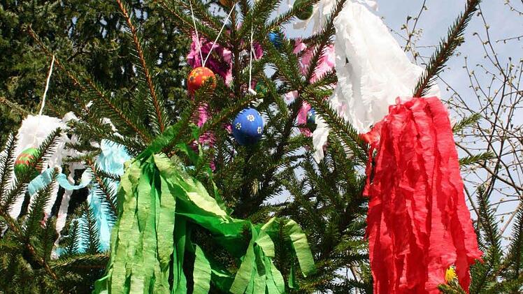 Bänder an den Fichten