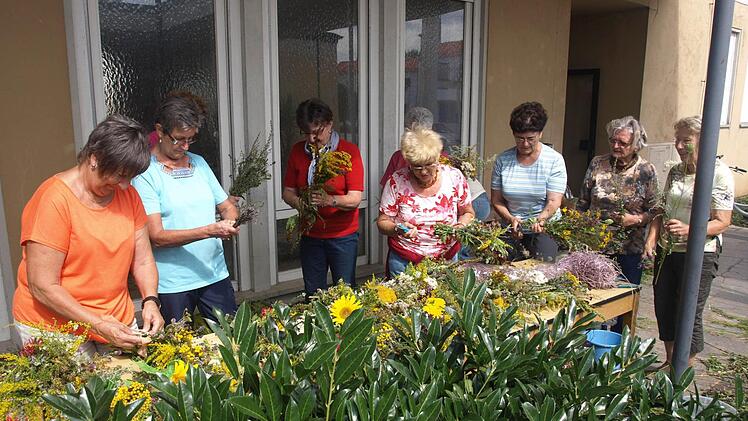 Für die Kräuterweihe am Fest Mariä Himmelfahrt bereiteten in Oerlenbach Frauen 80 Büschel vor (von links): Brunhilde Ehehalt, Gabi Hoch, Helga Wiesner, Doris Beutert, Heidemarie Martin, Maria Federau und Bärbel Steinkohl. Fotso: Stefan Geiger