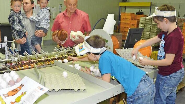 Julian (vorne links) und sein Bruder Samuel hatten riesigen Spaß beim Verpacken der Eier. Im Hintergrund ist auch Hofbesitzer Heinz Schubert (hinten rechts) zu sehen.  Foto: Karl-Heinz Hofmann