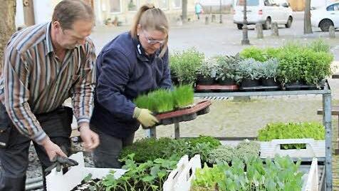 Franz Barthelmes hat einen Gartenbaubetrieb und kommt ebenfalls seit Jahren nach Münnerstadt zum Grünen Markt.