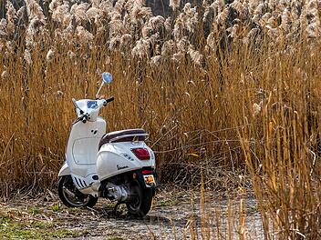 Symbolbild: Motorroller