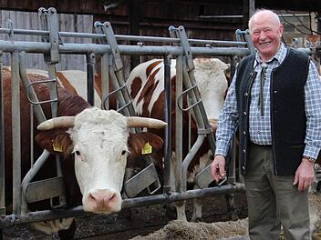Die Landwirtschaft ist seine Leidenschaft: Helmut Scherm mit einer seiner Kühe. Fotos: Kartharina Müller-Sanke