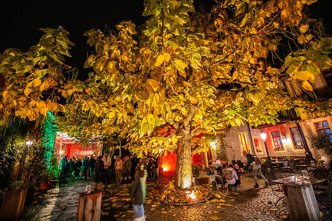 Prichsenstadt leuchtet