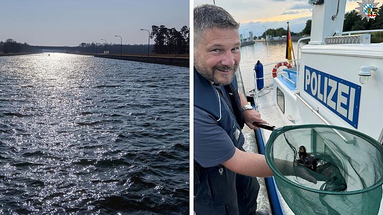 Strullendorf: Wasserschutzpolizei rettet Küken vor hungrigen Krähen - "Haben sich gestritten"
