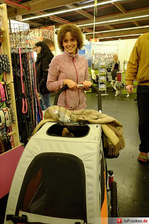 43. Internationale Rassehundeausstellung (Cacib) in Nürnberg